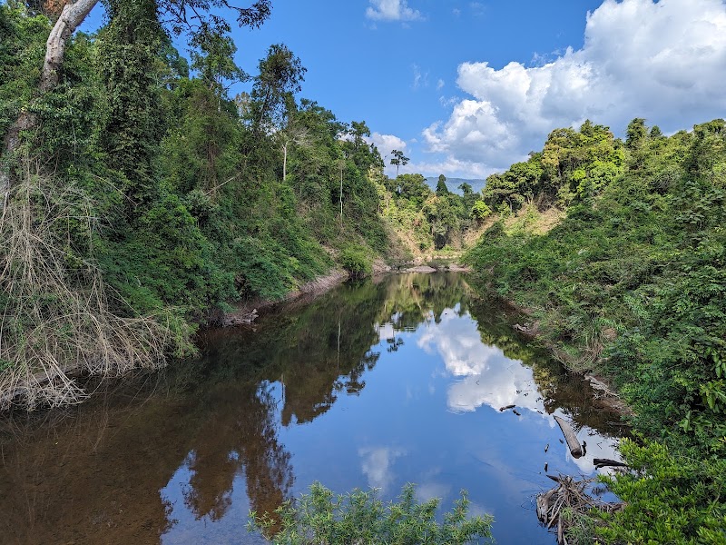 Khao Yai National Park - Khao Yai National Park, Nakhon Ratchasima, Thailand