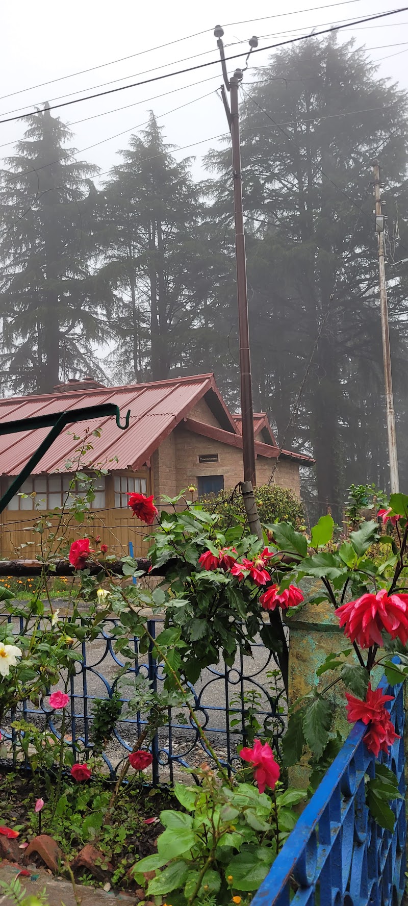 Mukteshwar - Mukteshwar Mukteshwar, Uttarakhand, India