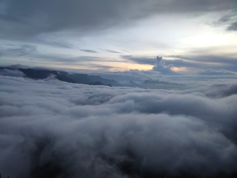 Campper Camp Woody Munnar - Campper Camp Woody Munnar, Camp Woody, Gundumalai Rd, Suryanelli, Kerala 685613, India
