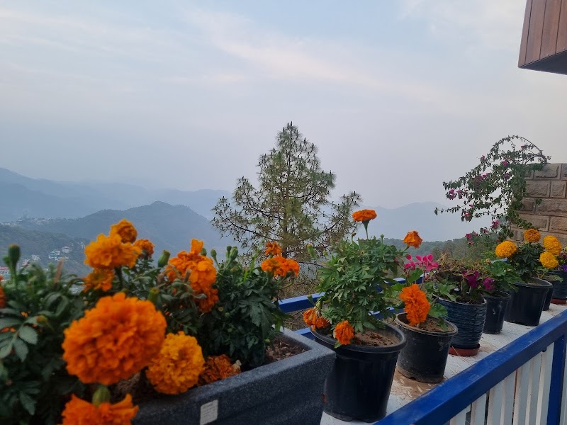 Hotel Wood Stock Luxury Kasauli - Hotel Wood Stock Luxury Kasauli near Lawrence School, beside Woodstock, Moti Corner, Kasauli, Himachal Pradesh 173201, India
