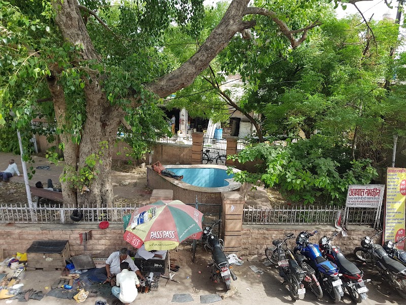 Café Sheesh Mahal - Café Sheesh Mahal 1, Pal Haveli Inn, opposite Clock Tower, near Gulab Sagar, Pal Haveli, Ghantaghar, Gulab Sagar, Jodhpur, Rajasthan 342001, India