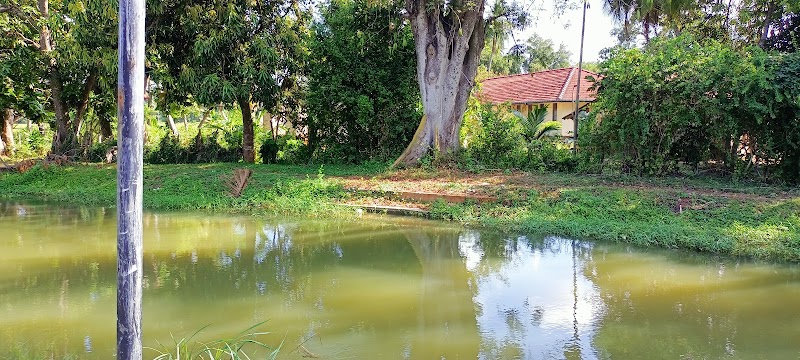 Tissamaharama - Tissamaharama Tissamaharama, Sri Lanka