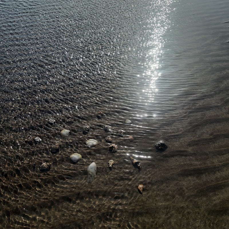 SHRIVARDHAN BEACH - SHRIVARDHAN BEACH, 22W5+XPP, Dabak Pakhadi Rd, Shrivardhan, Maharashtra 402110, India
