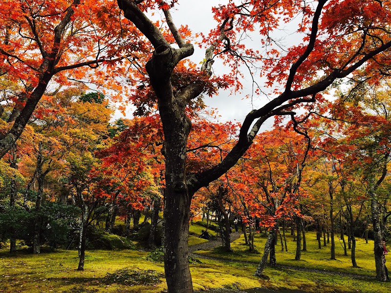Hakone Gora Park - Hakone Gora Park, 1300 Gōra, Hakone, Ashigarashimo District, Kanagawa 250-0408, Japan
