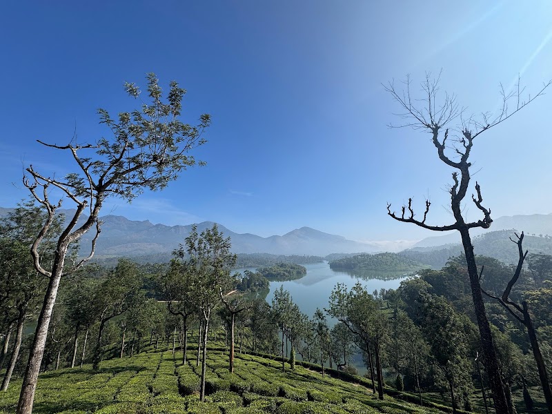 Valley view Gap road - Valley view Gap road 33GQ+F6H, Munnar, Kannan Devan Hills, Kerala 685612, India