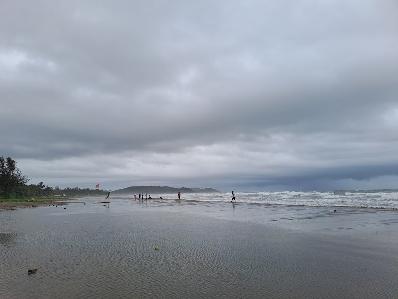 MORJIM BEACH NORTH GOA - MORJIM BEACH NORTH GOA, 943, Morjim Beach Road, Morjim, Goa 403512, India