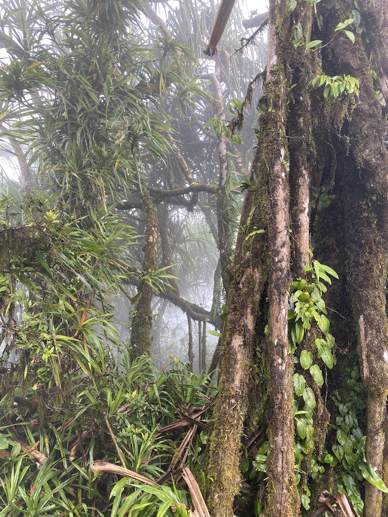 Pura Pasar Agung Lempuyang - Pura Pasar Agung Lempuyang, Tiyingtali, Abang, Karangasem Regency, Bali 80852, Indonesia