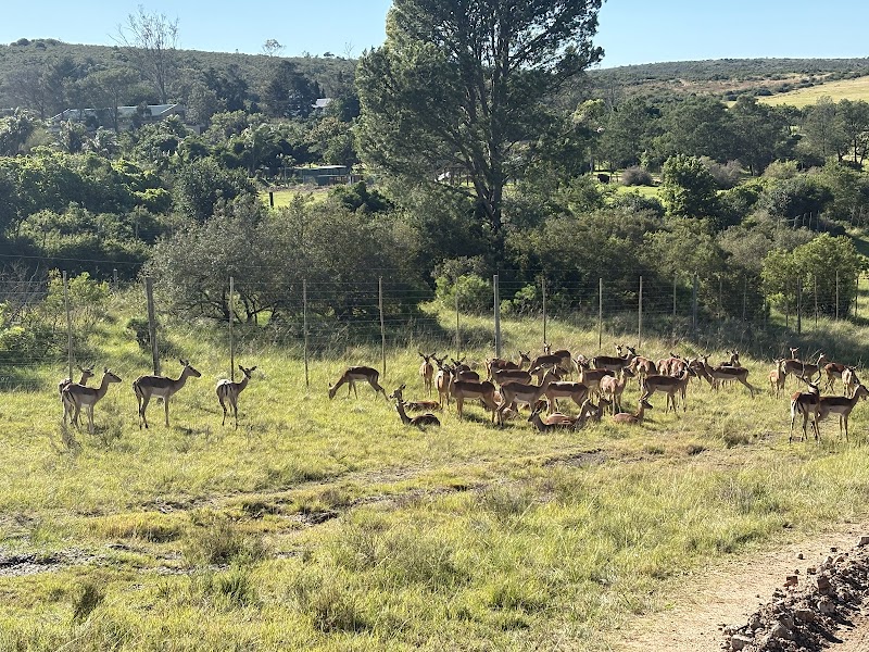 Kwantu Private Game Reserve - Kwantu Private Game Reserve, 1 Daniel street, Sidbury, 6130, South Africa
