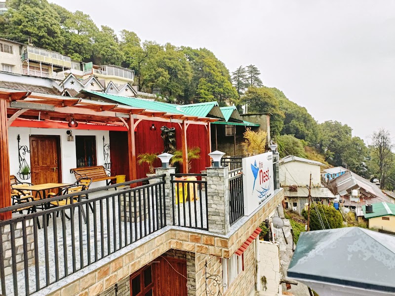 The Nest - The Nest, Gayatri Niwas, Zoo Rd, Tallital, Nainital, Uttarakhand 263001, India