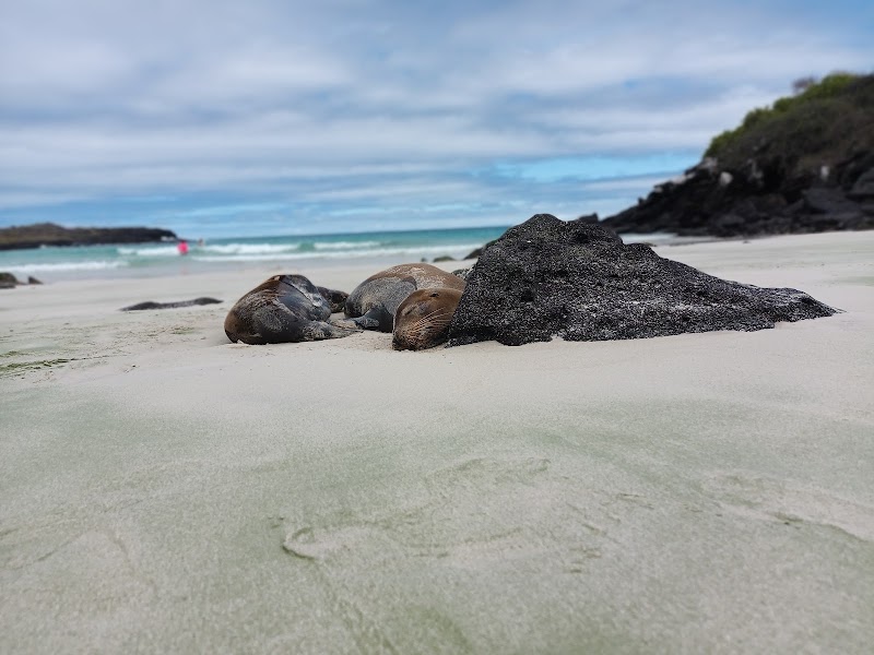 Puerto Chino - Puerto Chino, Isla de San Cristóbal, 3HFC+J46, San Cristóbal, Ecuador