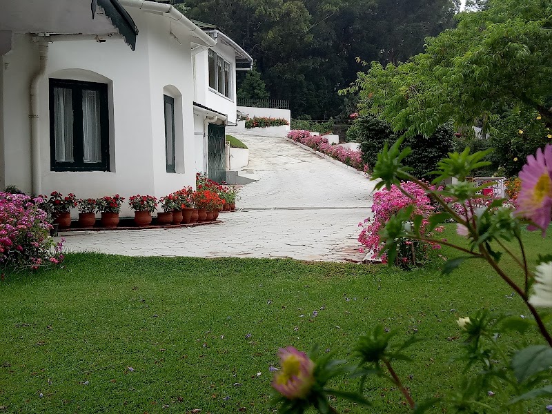 Daffodil Cottages and Resorts
