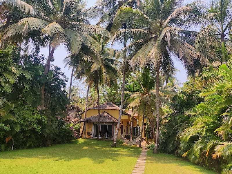 Morjim River Villa - Morjim River Villa, JPGV+HHM, Narojiwada, Morjim, Goa 403512, India