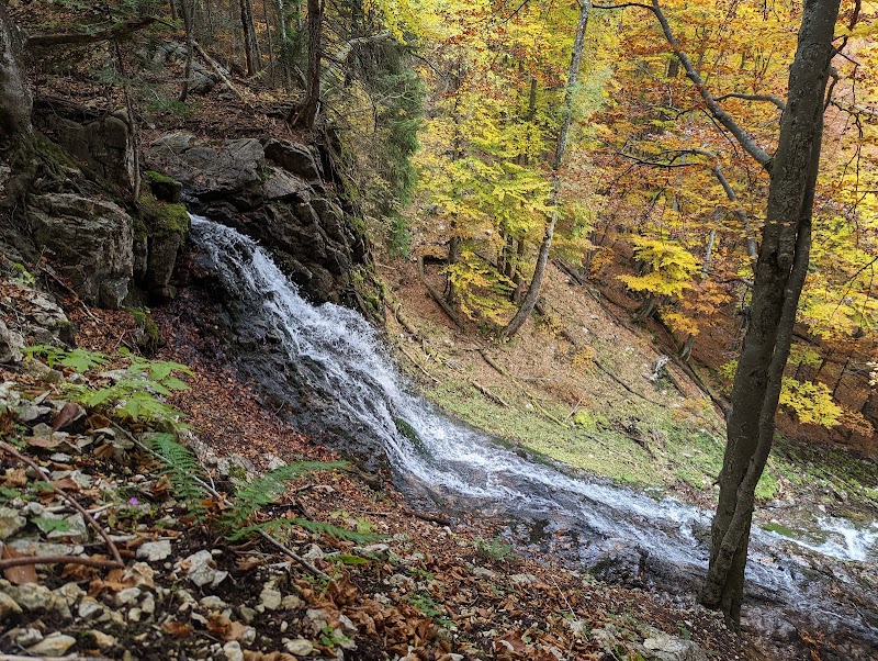 Nationalpark Kalkalpen - Nationalpark Kalkalpen, 4591 Molln, Austria