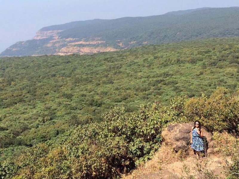 Rewa - Rewa, Madhya Pradesh, India