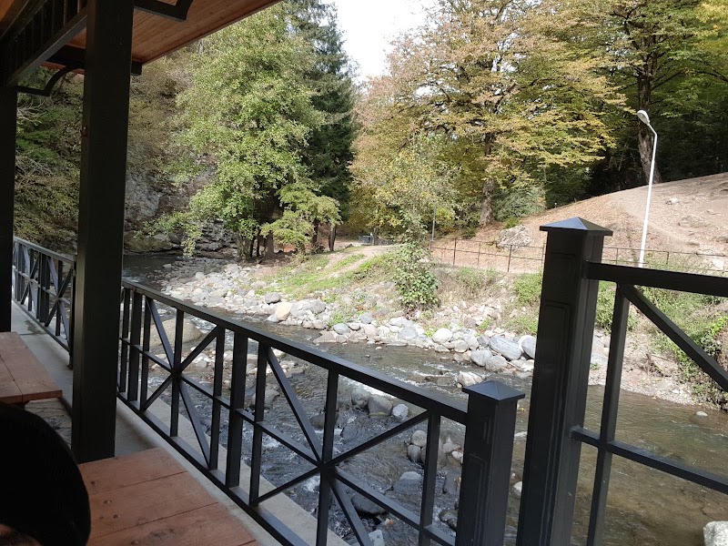 Borjomi Sulfur Pools - Borjomi Sulfur Pools, 9 ბარათაშვილის ქუჩა, Borjomi 1200, Georgia