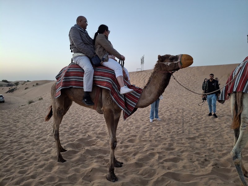 Dune Buggy Dubai - Dune Buggy Dubai, 34CW+W3 Dubai One JLT Tower 1 - الثنيه الخامسة - أبراج بحيرات الجميرا - دبي - United Arab Emirates