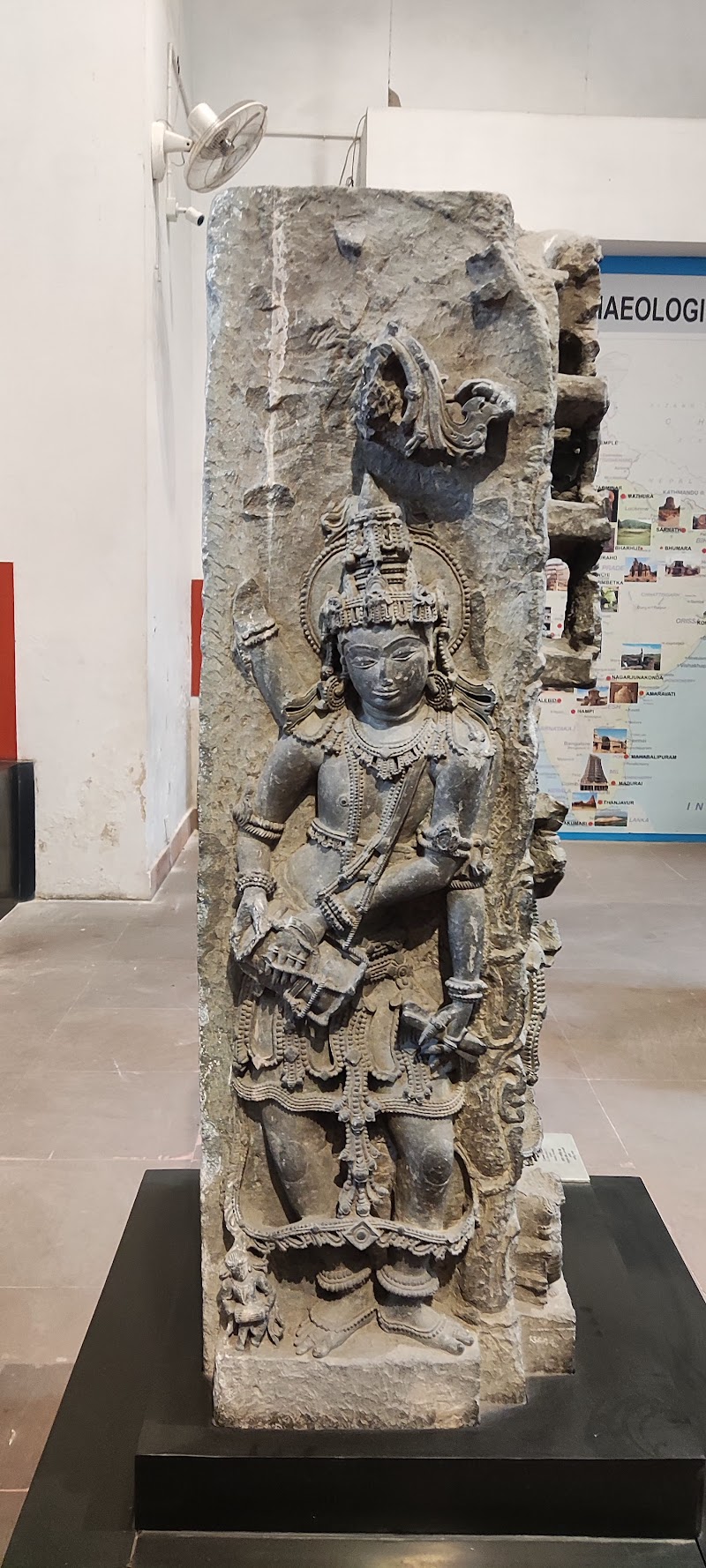 Indian Museum - Indian Museum 27, Jawaharlal Nehru Rd, Colootola, New Market Area, Dharmatala, Taltala, Kolkata, West Bengal 700016, India