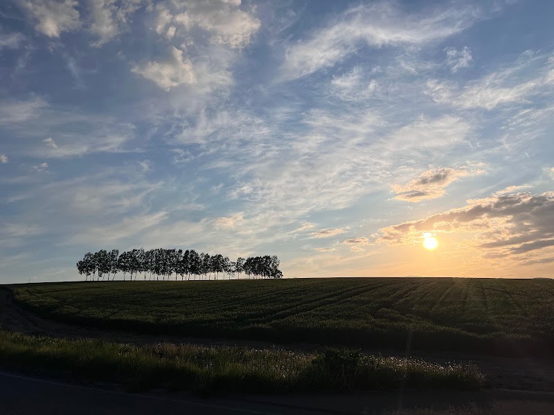 Patchwork Road (Biei) - Patchwork Road (Biei) 北海道上川郡美瑛町大久保協生, Asahi, Biei, Kamikawa District, Hokkaido 071-0216, Japan
