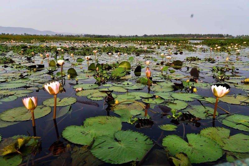 Kamalapura - Kamalapura, Karnataka, India