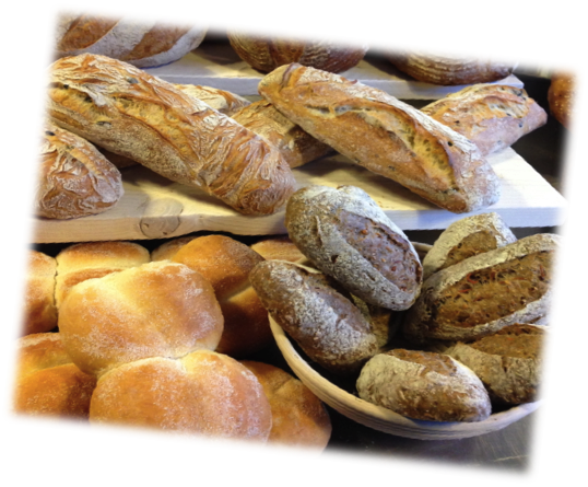 Bakkerij Hessing - Bakkerij Hessing, Theresiastraat 131, 2593 AG Den Haag, Netherlands