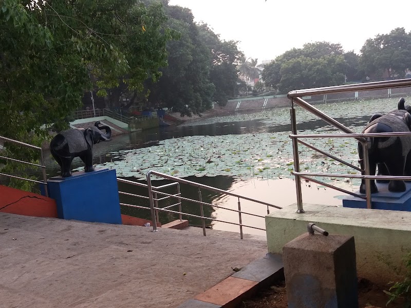 Lotus Pond - Lotus Pond Lotus Pond, Selvam Nagar, Pallikaranai, Chennai, Tamil Nadu 600100