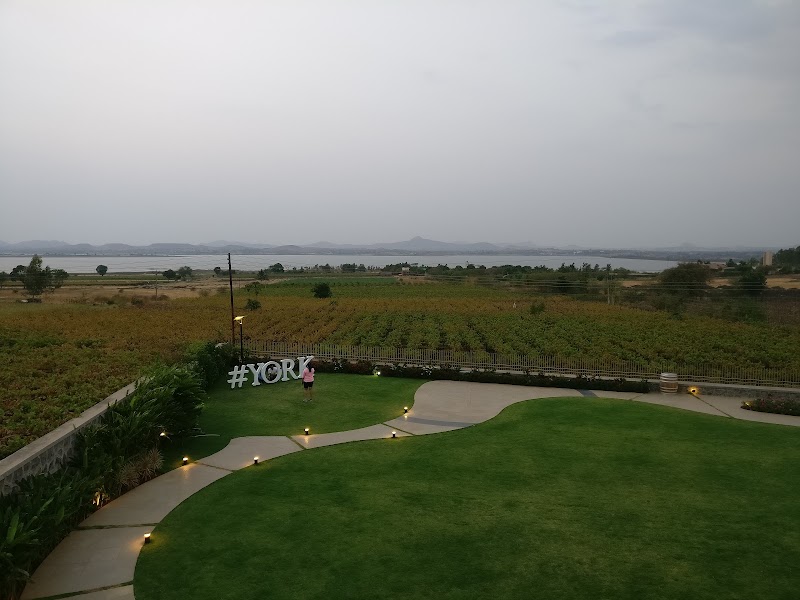 York Winery & Tasting Room - York Winery & Tasting Room Gat No.15, 2, Gangapur-Savargaon Rd, Gangavarhe, Nashik, Gangavhare, Maharashtra 422222, India