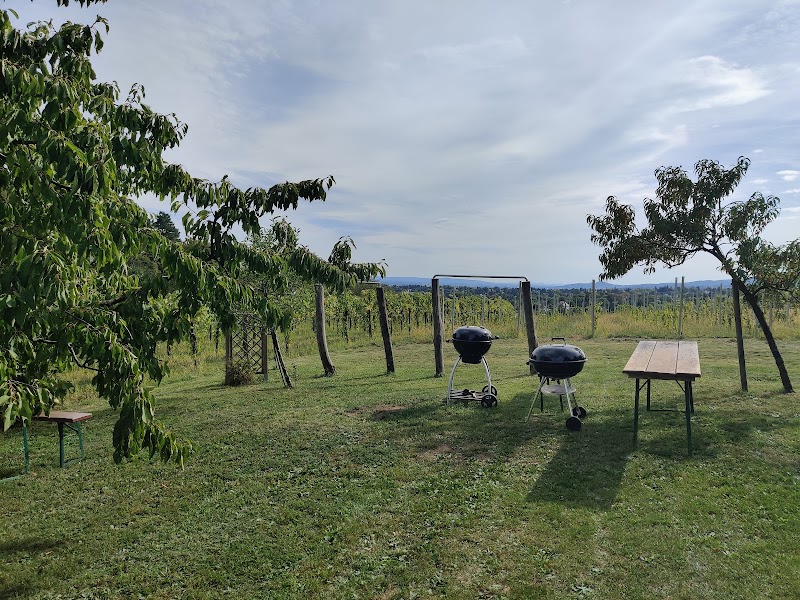 Weinbau und Heuriger Wiltschko - Weinbau und Heuriger Wiltschko, Wittgensteinstraße 143, 1230 Wien, Austria