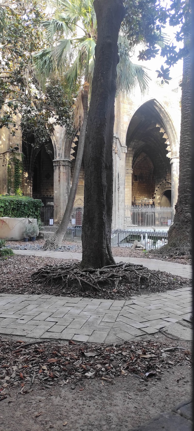 Museu de la Catedral de Barcelona - Museu de la Catedral de Barcelona Carrer de Santa Llúcia, 5, Ciutat Vella, 08002 Barcelona, Spain