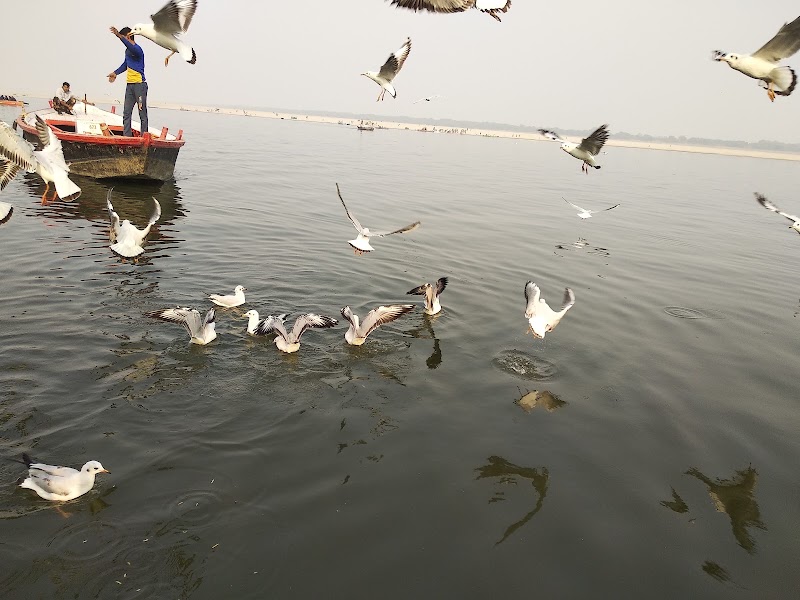 Bhadaini Ghat - Bhadaini Ghat Ghats of Varanasi, Bhadaini ghat, Shivala, Varanasi, Uttar Pradesh 221001, India