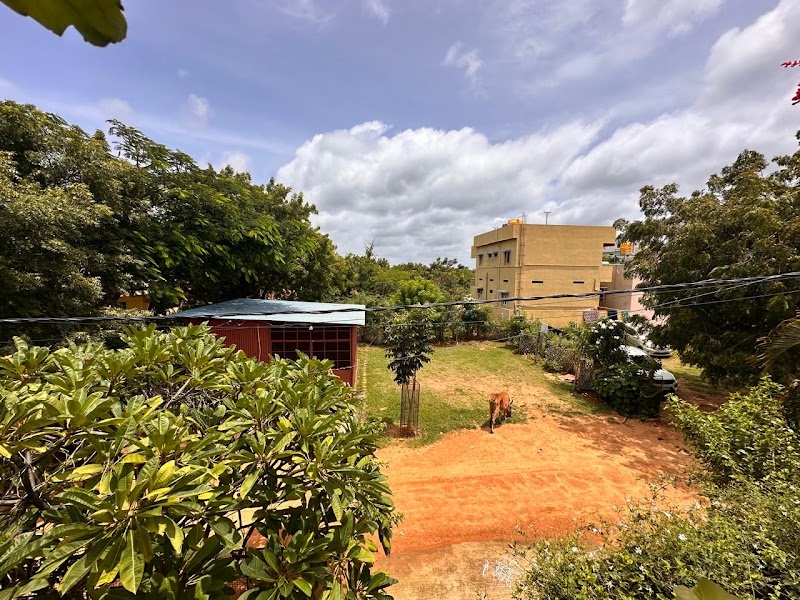 Mango Tree Home Stay - Mango Tree Home Stay, P.K HALLI ROAD, opp. government hospital, Kamalapura, Karnataka 583221, India