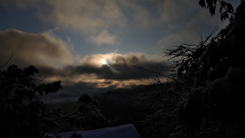 Homestay - Homestay, 16, po, Sarmoli, Munsyari, Uttarakhand 262554, India