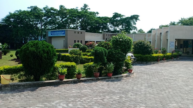RSETI, Belpahar