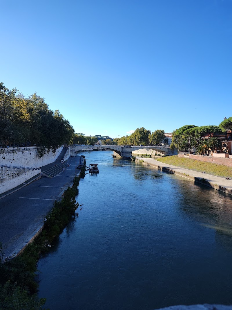 River Tiber - River Tiber, Italy
