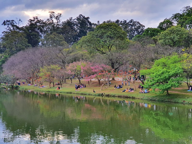 Ibirapuera Park - Ibirapuera Park Av. Pedro Álvares Cabral, s/n - Vila Mariana, São Paulo - SP, 04094-050, Brazil