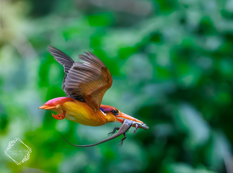 Nature Explorers India - Nature Explorers India 6th floor, Nirmal Corporate Center, 604, Lal Bahadur Shastri Marg, Moti Nagar, Mulund Colony, Mulund West, Mumbai, Maharashtra 400080, India