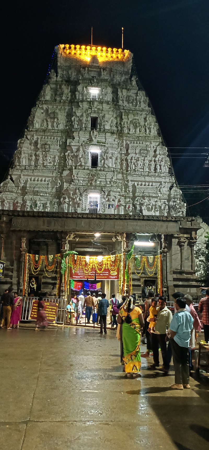 Srikalahasti Temple - Srikalahasti Temple, Srikalahasti, Andhra Pradesh 517644, India