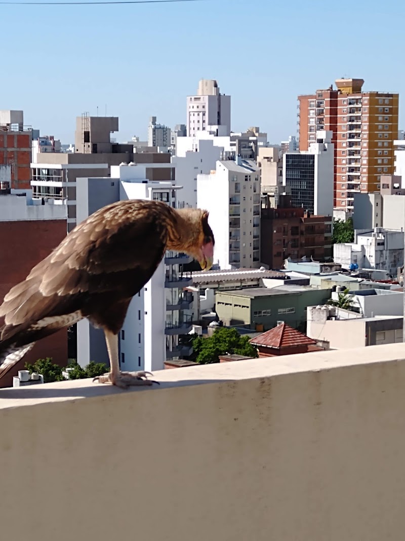 La Plata - La Plata, Buenos Aires Province, Argentina