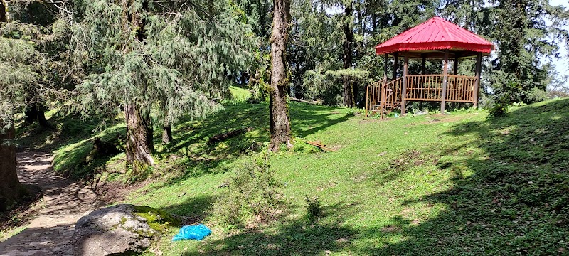Nohradhar - Nohradhar, Himachal Pradesh 173104, India