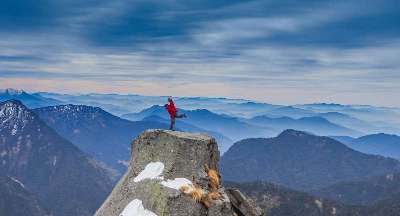 Track to Khalia Top - Track to Khalia Top Track to Khalia Top, Uttarakhand 262554, India