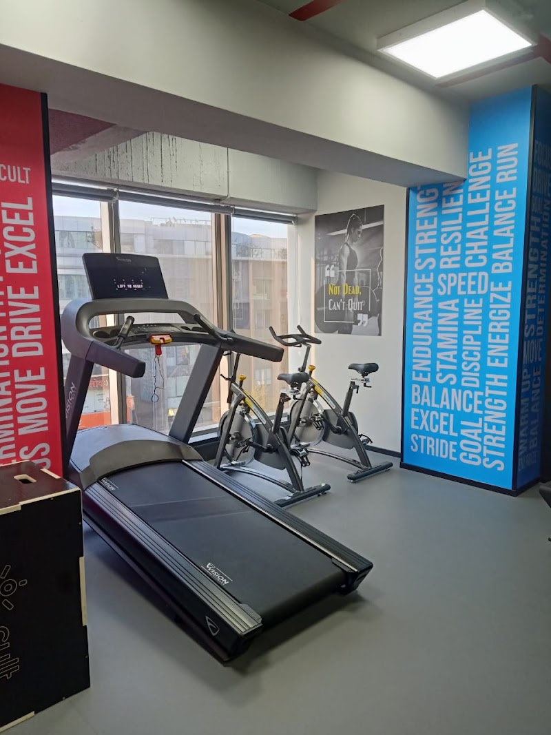 Cult Gym Gangadham, Bibwewadi | Best Gym in Gangadham, Bibwewadi, Pune - Cult Gym Gangadham, Bibwewadi | Best Gym in Gangadham, Bibwewadi, Pune, 3rd Floor, Apex, Business Court, Bibwewadi Kondhwa Rd, near Gangadham Chowk, Gaganvihar, Gangadham Phase II, Ganga Dham, Pune, Maharashtra 411037, India