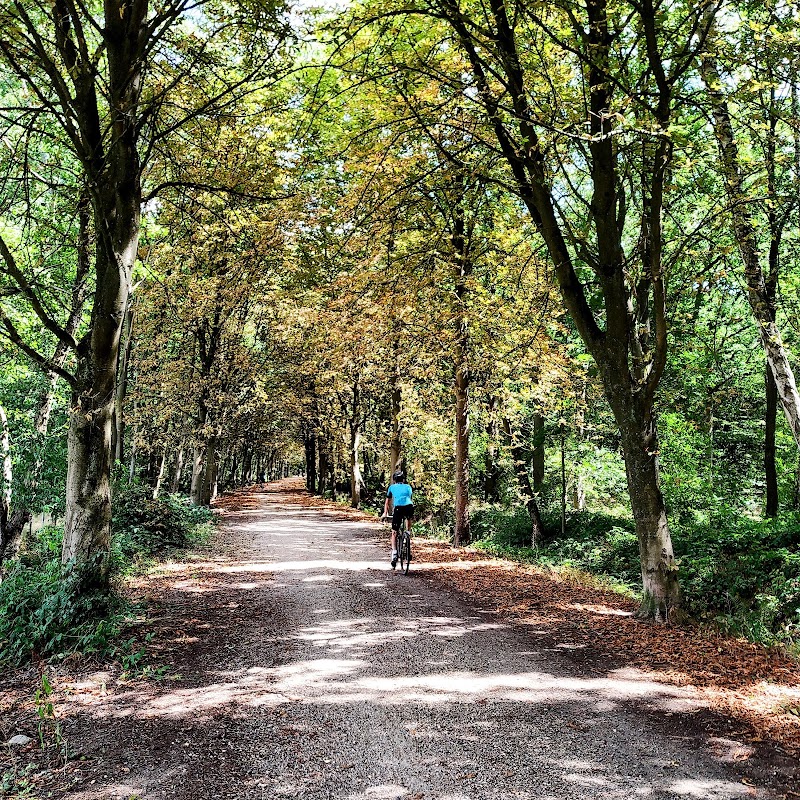 National Park Hoge Kempen - National Park Hoge Kempen, 3630 Maasmechelen, Belgium