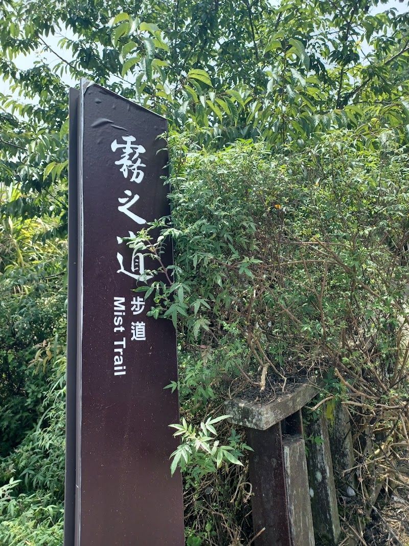 Mist Trail - Mist Trail 604, Taiwan, Chiayi County, Zhuqi Township, 16