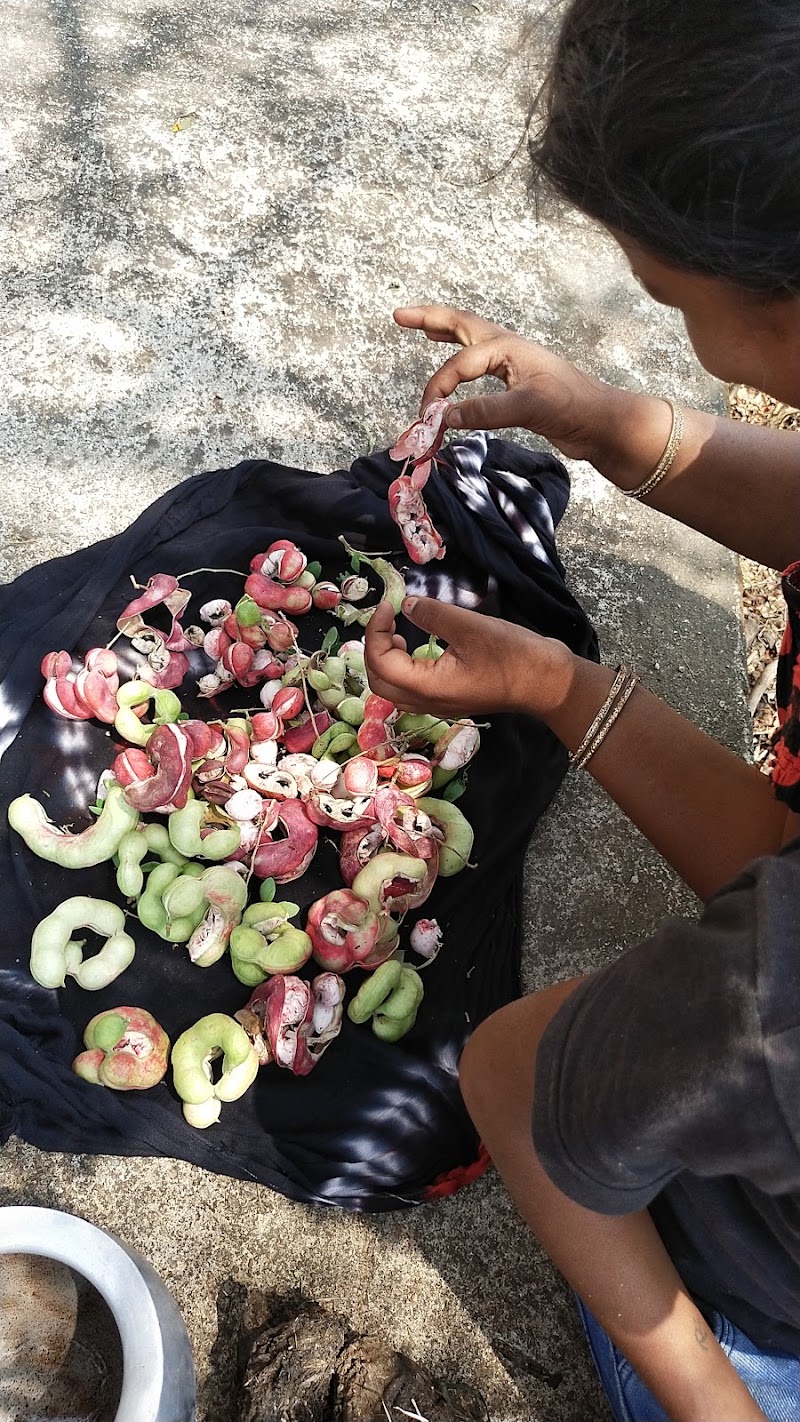 Nai Krishi Upaj Mandi Saraipali - Nai Krishi Upaj Mandi Saraipali, saraiapali, 8297+9FQ, near Gayatri mandir, Chhattisgarh 493558, India
