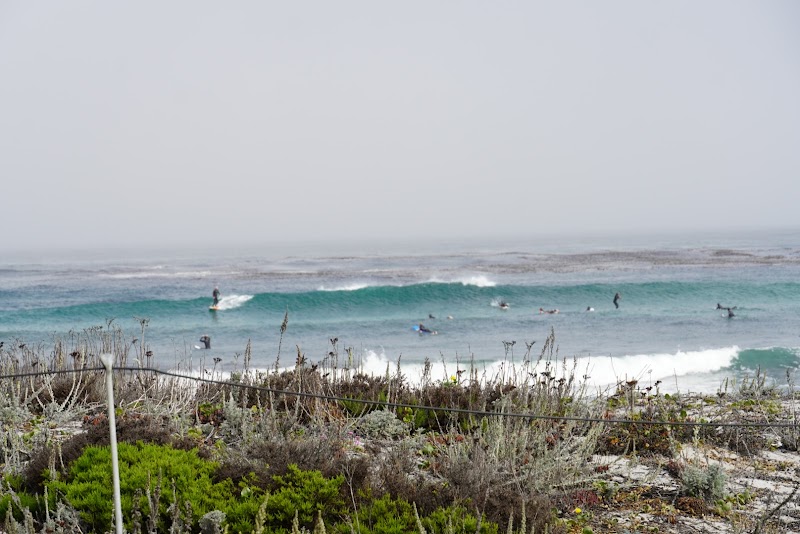 17 Mile Drive - 17 Mile Drive, 17 Mile Dr, Pebble Beach, CA 93953, USA