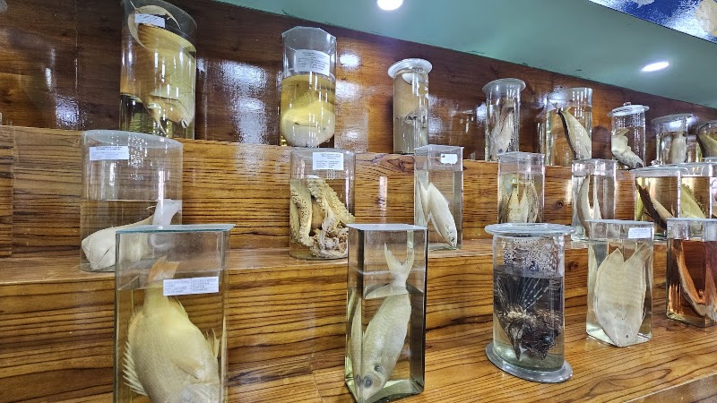 Marine Aquarium and Museum - Marine Aquarium and Museum, HJGR+H4J, Kavaratti, Lakshadweep 682555, India