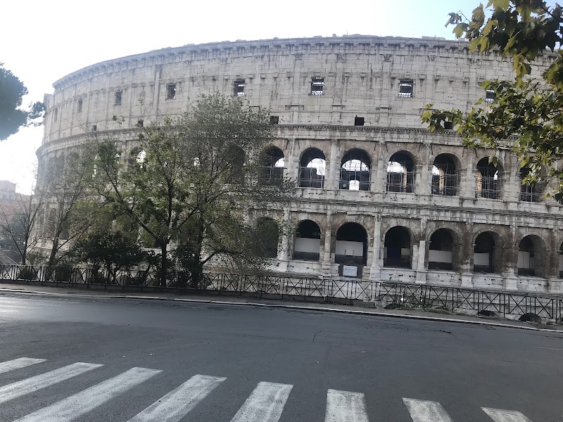 Transfers Rome - Transfers Rome, Via Francesco Flora, 48, 00139 Roma RM, Italy