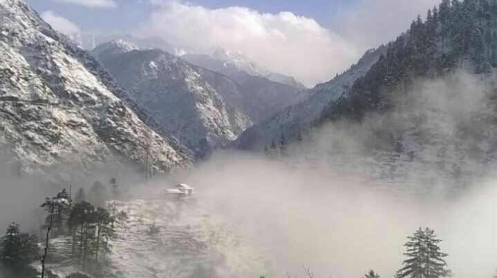 The Tirthan Valley Wooden House - The Tirthan Valley Wooden House, Village Jamala Post Office Sharchi Tehsil Banjar, Road, Sharchi, Banjar, Himachal Pradesh 175127, India