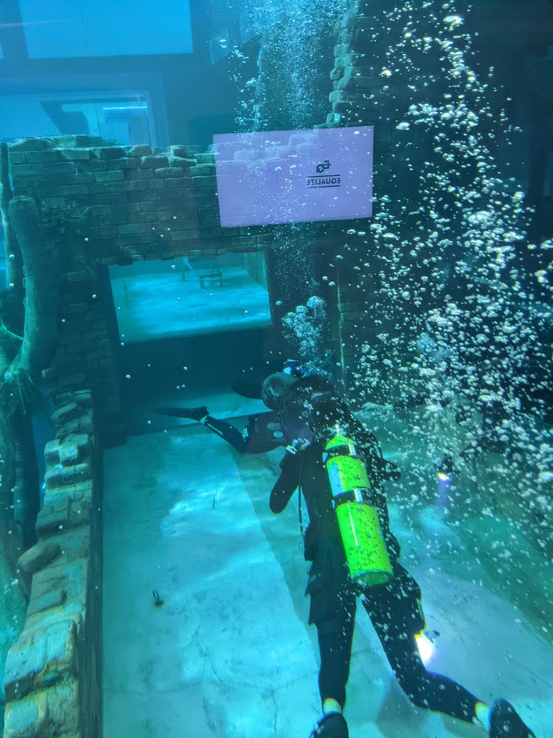 Deep Dive Dubai - Deep Dive Dubai, NAS Sports Complex - Wadi Al Safa 3 - Dubai - United Arab Emirates