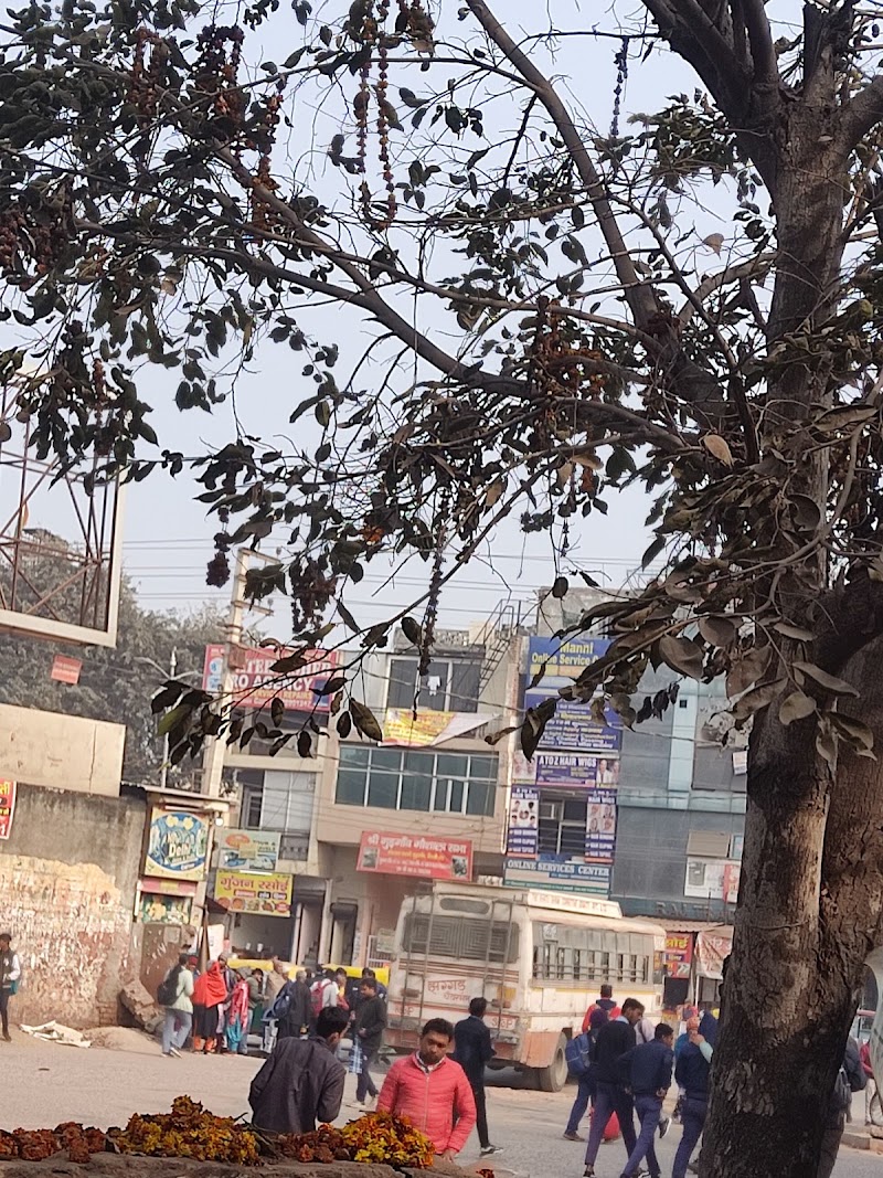 Gurugram - Gurugram, Adarsh Nagar, Sector 12, Gurugram, Haryana 122001, India