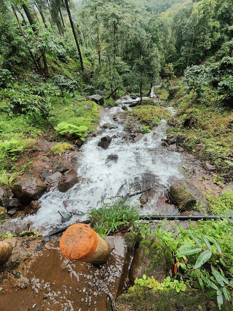 Tadiandamol - Tadiandamol Tadiandamol, Karnataka 571212, India